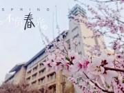 等閑識得東風面，萬紫千紅總是春